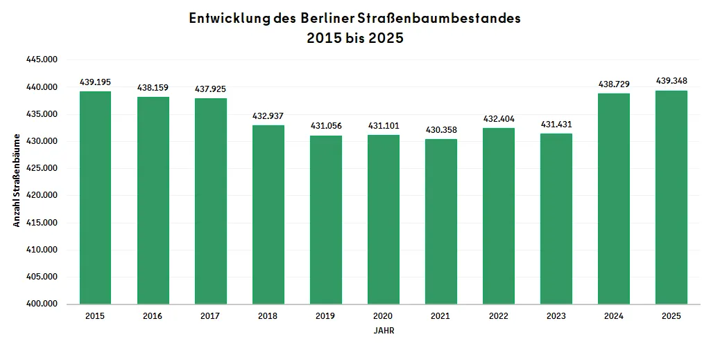Entwicklung des Berliner Straßenbaumbestandes 2015 bis 2025: Es wird jährlich die Anzahl der Straßenbäume dargestellt. Von 2015 (439.195 Bäume) bis 2021 (430.358 Bäume) ist eine kontinuierliche Verringerung des Bestandes an Straßenbäumen zu verzeichnen. Bis 2025 hat sich der Bestand wieder erhöht (439.348 Bäume).