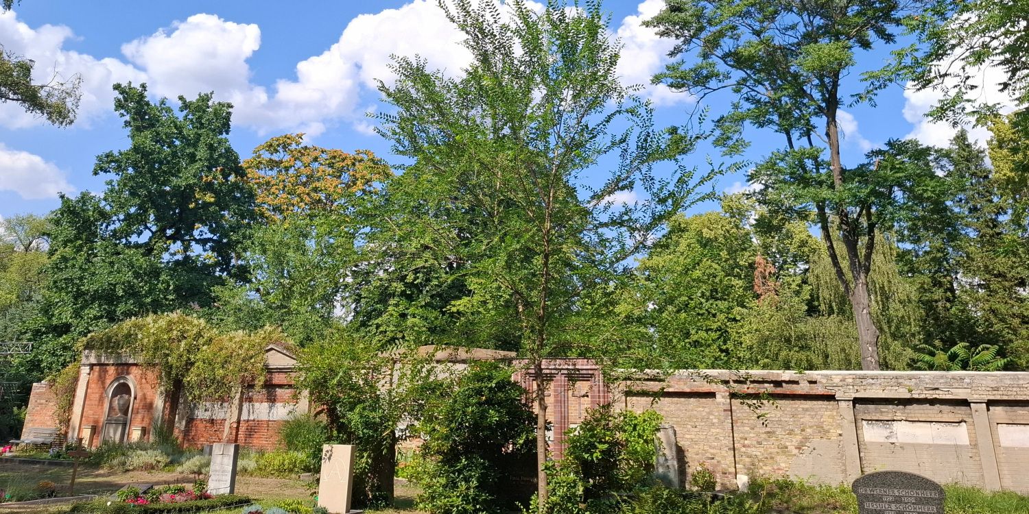 Wandgräber auf dem evangelischen Domfriedhof in Berlin-Mitte