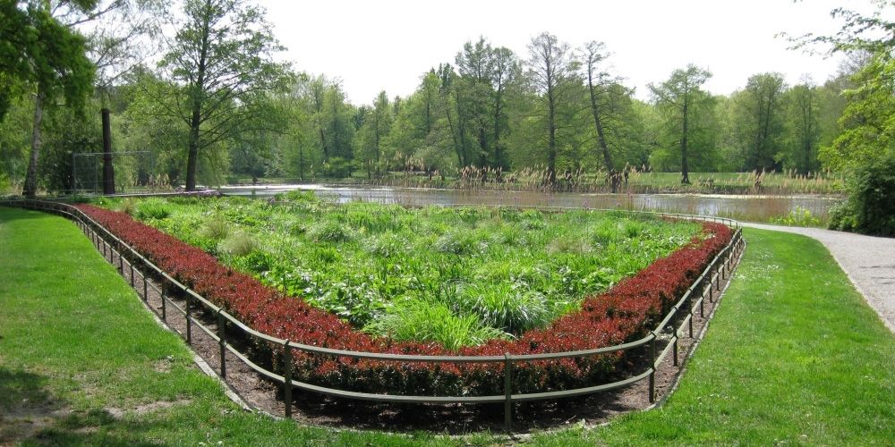 Der Südpark im Mai 2019: Schmuckpflanzung mit Stauden und Heckeneinfassung aus Berberitze