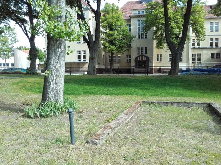 Fritz-Kühn-Schule 2019: Rasenfläche nach Beseitigung Robinienaufwuchs und anschließender Rasenansaat