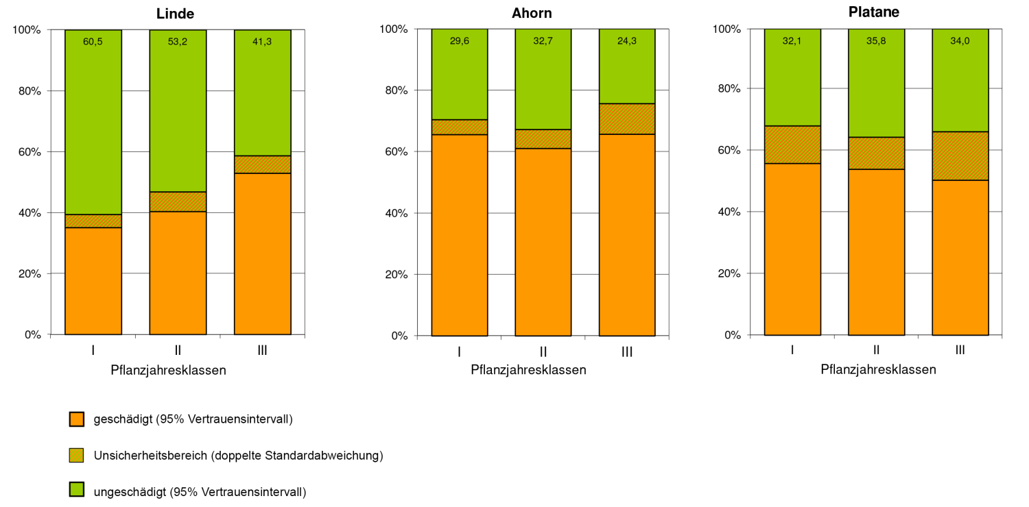 Baumgattungen und Pflanzjahresklassen 2025 (Bild: SenMVKU)