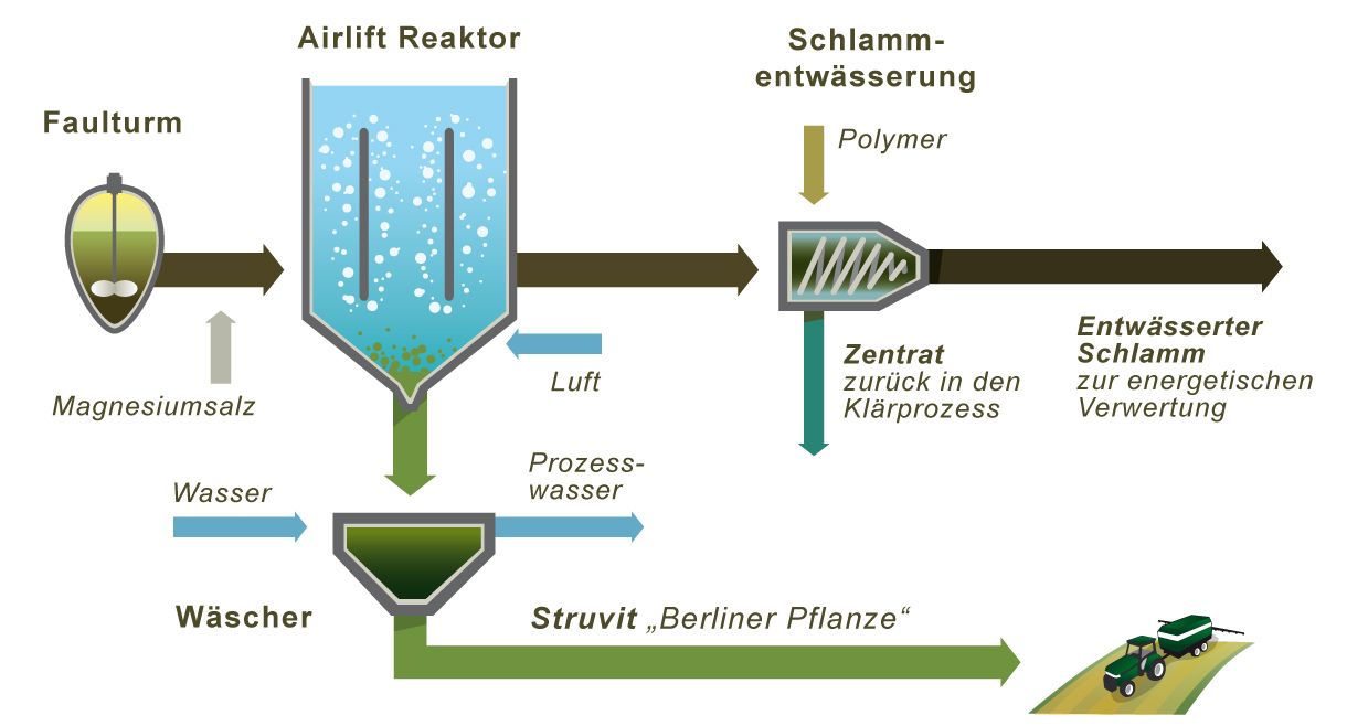 Prozess der gezielten Struvitfällung im Airliftreaktor. (Bild: SenUVK)