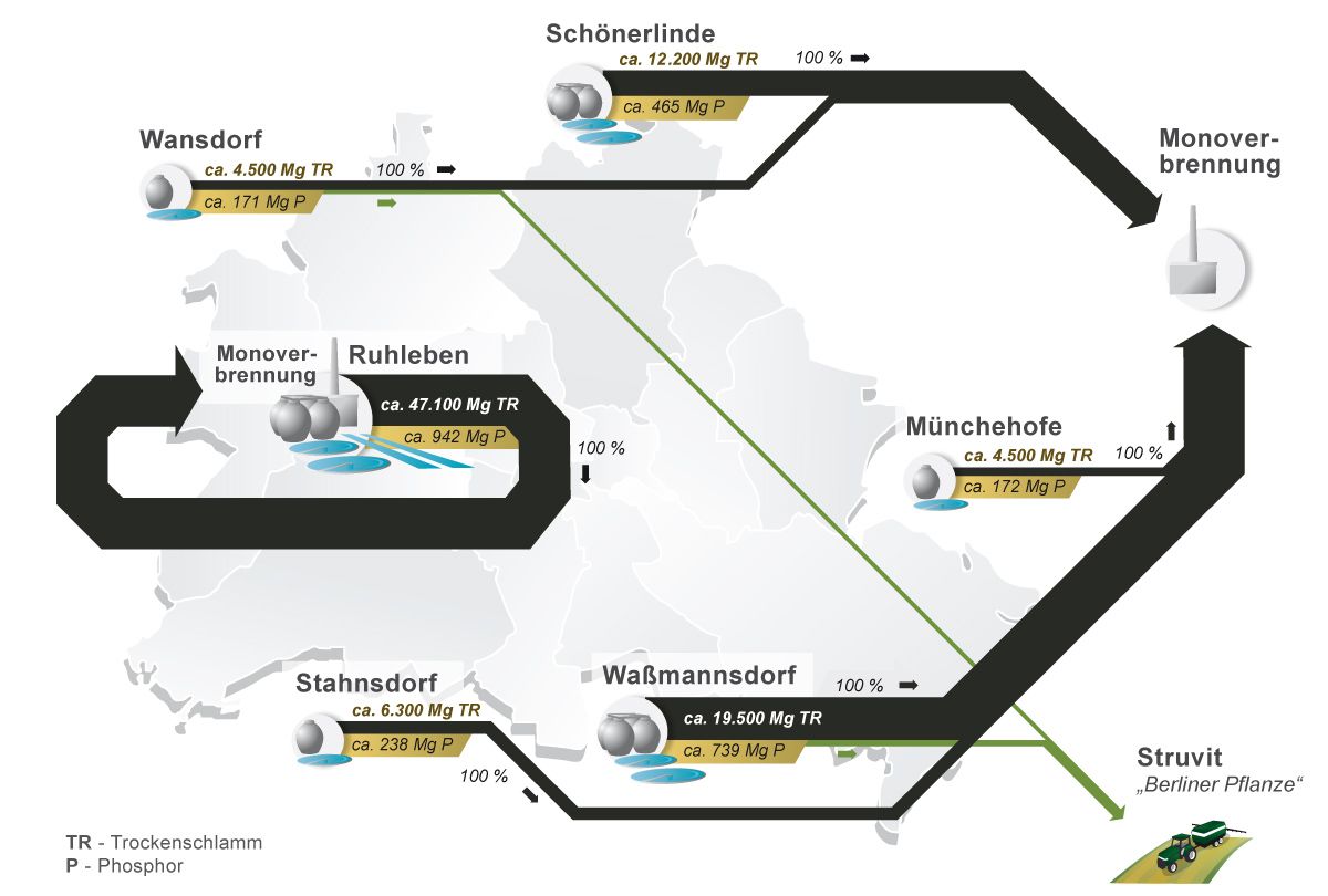 Klärschlammmengen und die darin enthaltenen Phosphorfrachten der sechs Kläranlagen. (Bild: SenUVK)