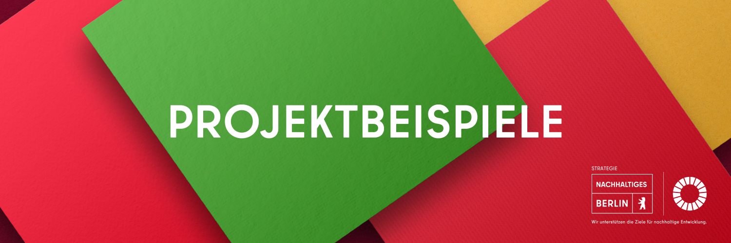 Projektbeispiele