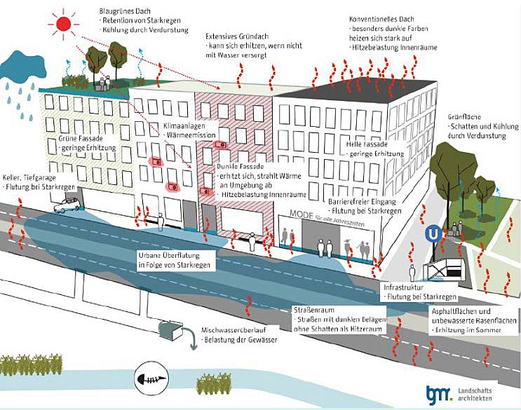 Anpassungsmaßnahmen (Bild: SenMVKU / bgmr)