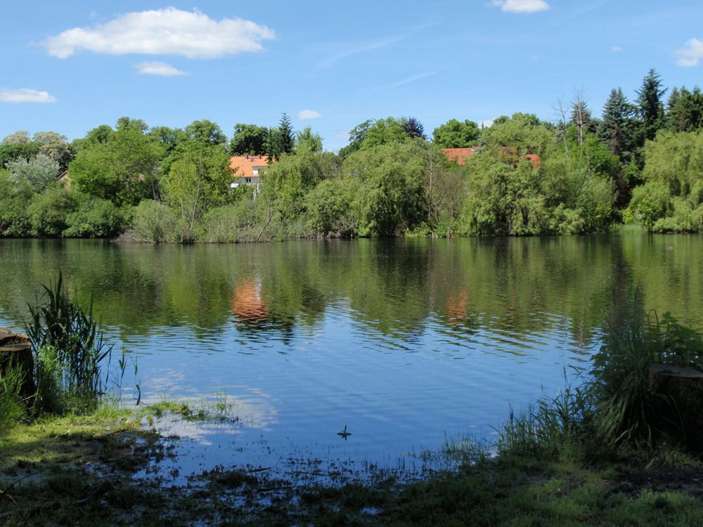 Hermsdorfer See