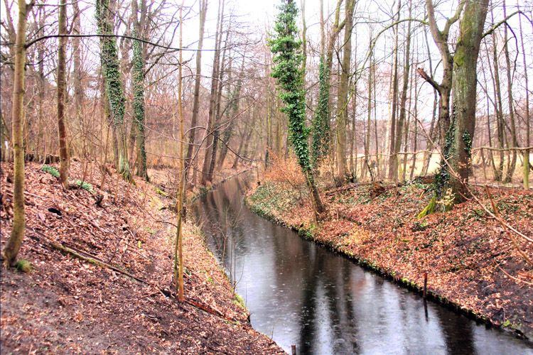 Hundekehlegraben (Grunewald)