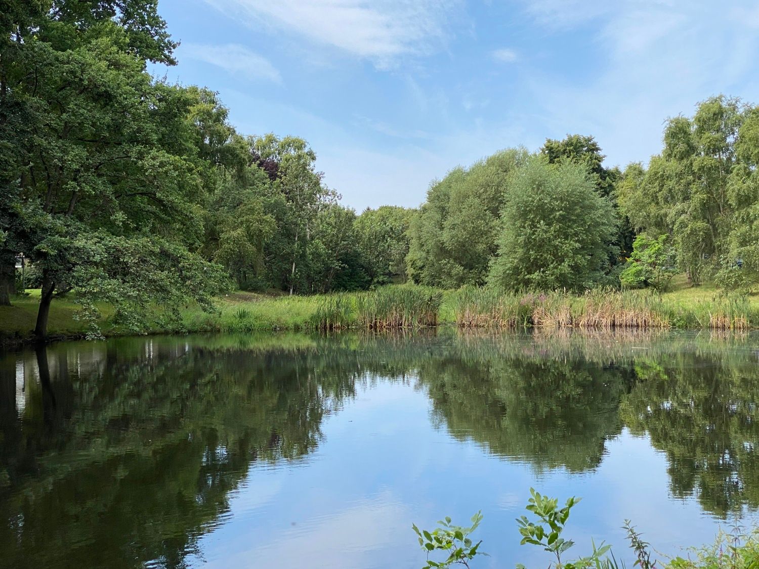 Septimerbecken: östliches Ufer