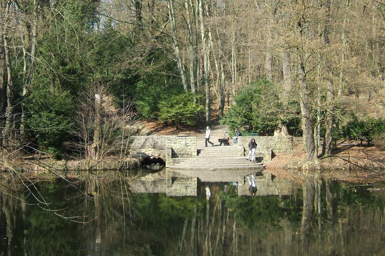 Steinbergsee (Reinickendorf)