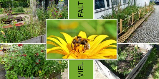 Das Vorhaben Uhu – Umwelt hautnah – Natur verstehen und erfahren