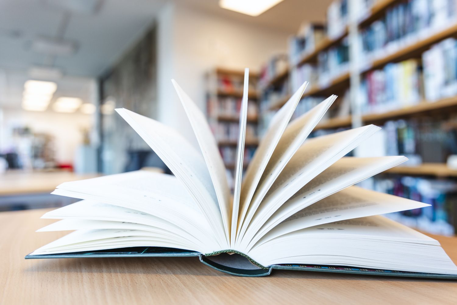 Bibliothek Mariendord aufgeschlagenes Buch