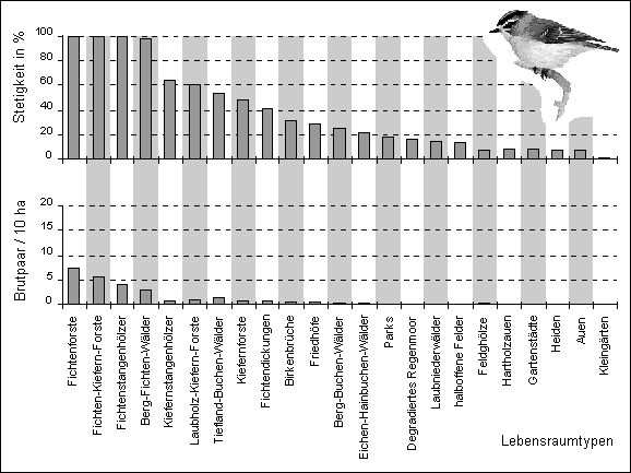 Abb.1: Ökologisches Profil einer Leitart (Wintergoldhähnchen, Regulus regulus)