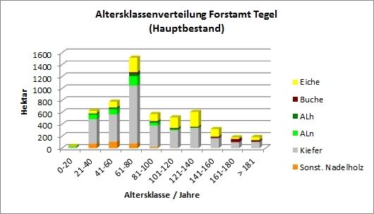 Abb. 7: Altersklassenverteilung Forstamt Tegel (Hauptbestand)