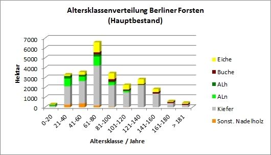 Abb. 4: Altersklassenverteilung Berliner Forsten (Hauptbestand)