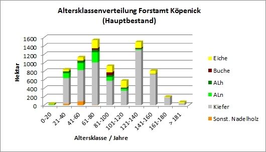 Abb. 11: Altersklassenverteilung Forstamt Köpenick (Hauptbestand)