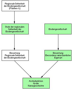 Abb. 1: Schema zur Bewertung der Archivfunktion für die Naturgeschichte
