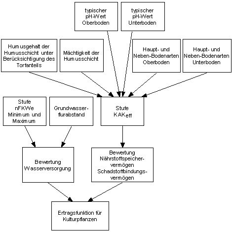 Abbildung 1 : Schema zur Bewertung der Ertragsfunktion für Kulturpflanzen