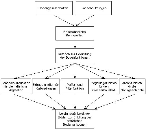 Abbildung 1: Schema zur Bewertung der Bodenfunktionen