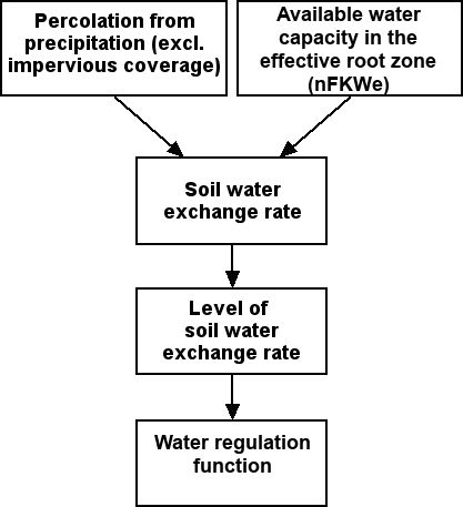 Fig. 1: Diagram for the evaluation of the regulatory function for the water balance