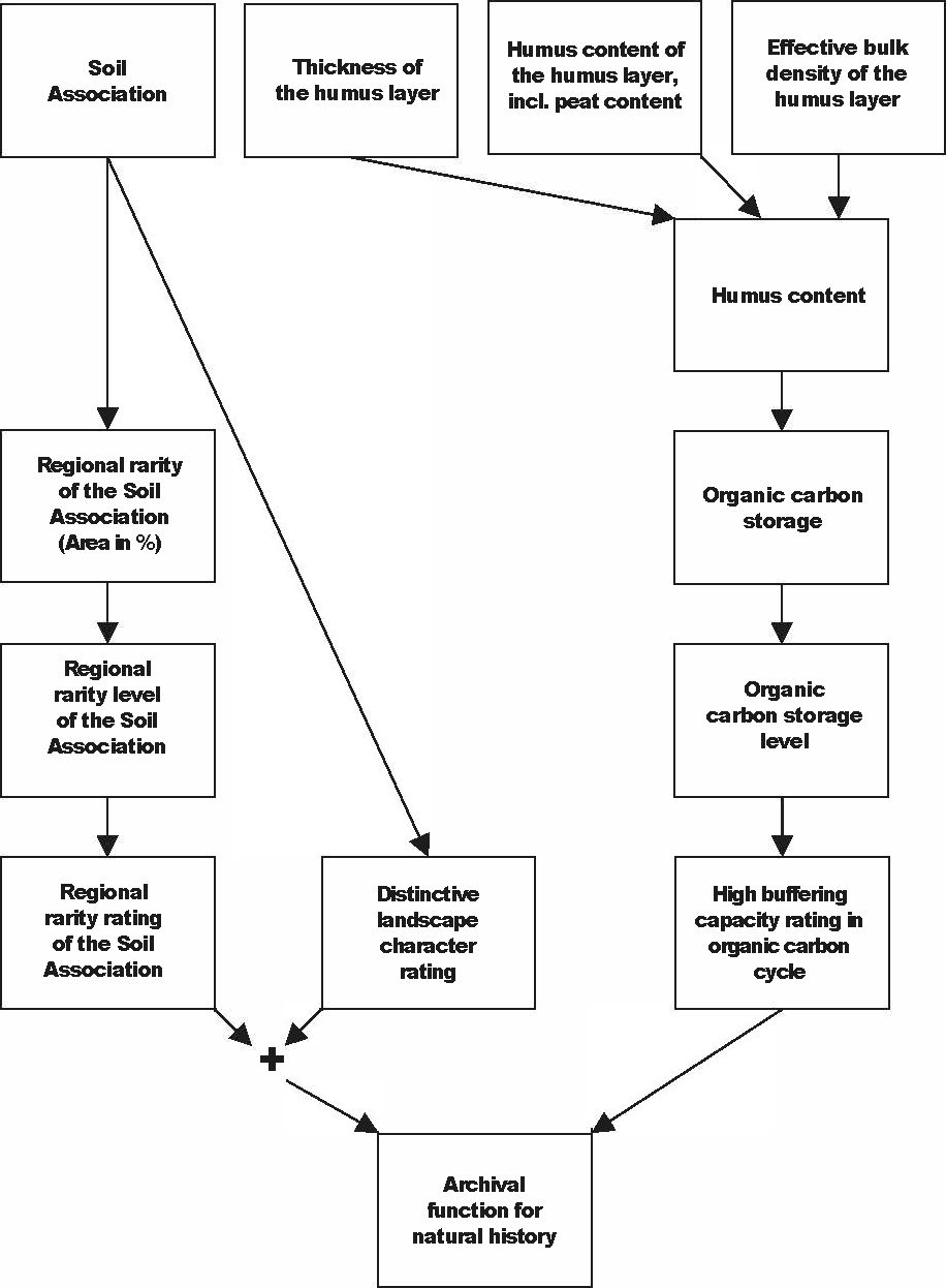 Fig. 1: Diagram for the evaluation of the archival function for natural history