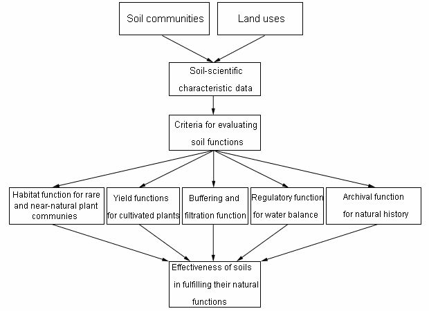 Fig. 1: Diagram for the evaluation of soil functions