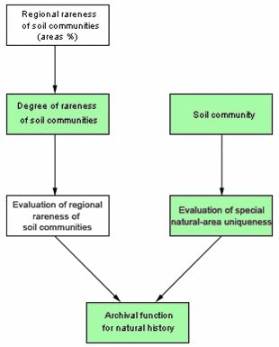 Fig. 1: Diagram for the evaluation of the archival function for natural history