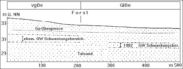 Bodengesellschaft der Talsandflächen