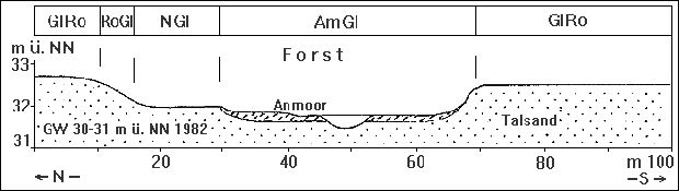 Schmelzwasserrinne in Talsandfläche