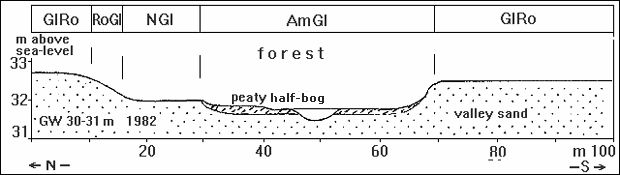 Fig. 6: Eutro-gleyic cambisol (gleyic brown soil) - gleysol - eutric histosol (low-moor bog) (Meltwater channels in valley sand areas without dunes)