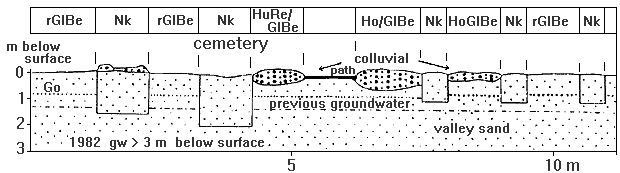Fig. 7: Necrosols + eutro-gleyic cambic hortisol (gley brown horticultural soil) + gleysol (Soils of cemeteries on valley sand areas of fine and medium sands)