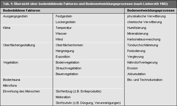 bodenbildende Faktoren und Bodenentwicklungsprozess