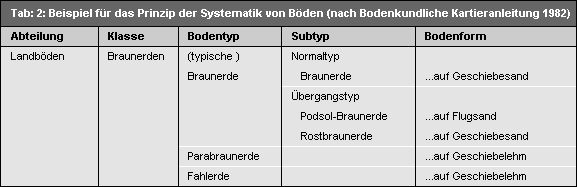 Beispiel für das Prinzip der Systematik von Böden