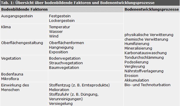 Übersicht über bodenbildende Faktoren