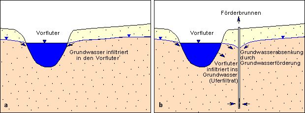 Abb. 3: Infiltration: a) effluente Verhältnisse, b) influente Verhältnisse