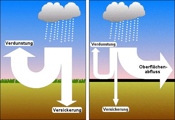 Abb. 1: Wasserhaushalt von Vegetationsflächen und versiegelten Flächen
