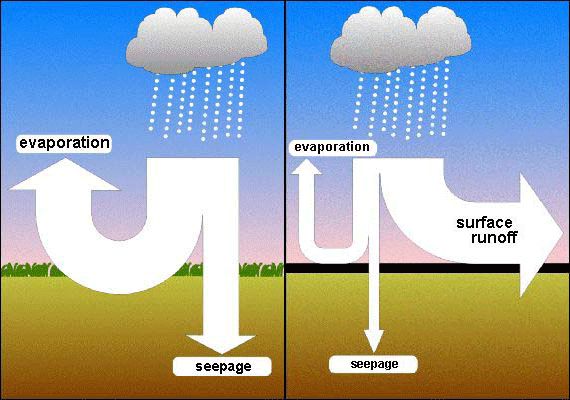 Fig.1: Water balance of vegetation areas and sealed areas