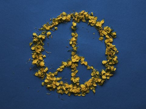 Ein gelbes Friedenszeichen aus gelben Blüten auf blauem Hintergrund