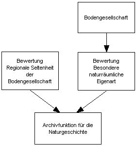 Abbildung 1 : Schema zur Bewertung der Archivfunktion für die Naturgeschichte