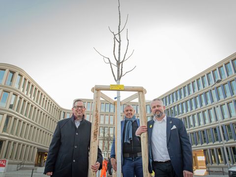 Bildvergrößerung: Bei der Baumpflanzung: v.l.n.r. Oliver Igel (Bezirksbürgermeister), Roland Sillmann (Geschäftsführer der WISTA Management GmbH) sowie David Weiblein (BTB-Geschäftsführer)