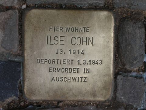 Stolperstein Ilse Cohn