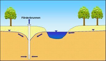 Abb. 4c: Uferfiltration infolge von Grundwasserförderung: Durch die Grundwasserabsenkung des Förderbrunnens infiltriert Oberflächenwasser in das Grundwasser