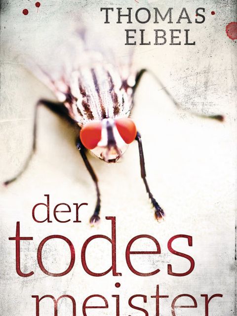 Buchcover "Der Todesmeister" von Thomas Ebel