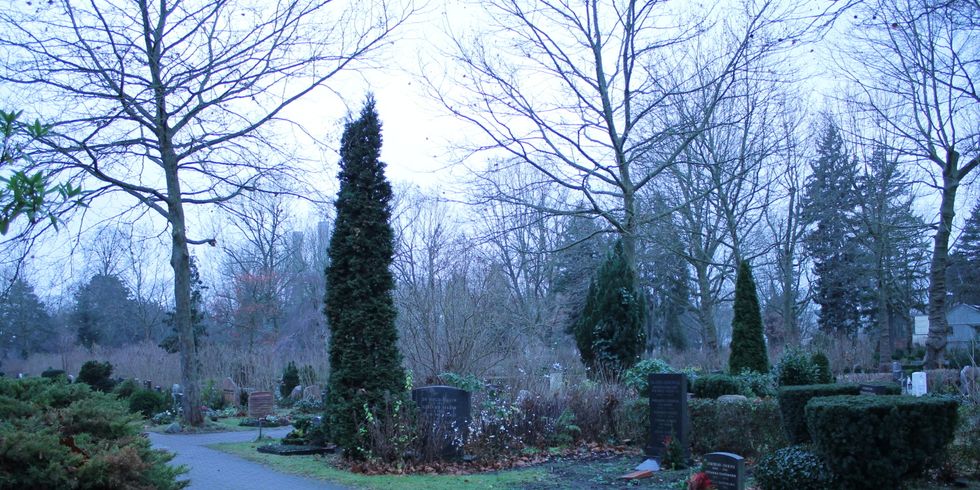 Rohrbruch auf dem Friedhof Wilmersdorf. 