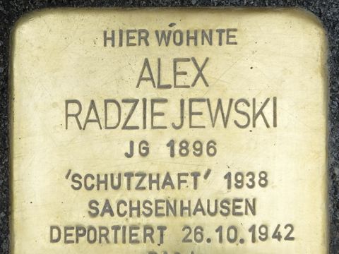 Stolperstein Alex Radziejewski