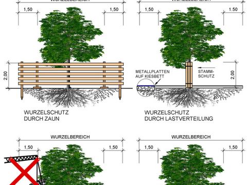 Baumschutz Baustellen Wurzelschutz Baumschutzsatzung