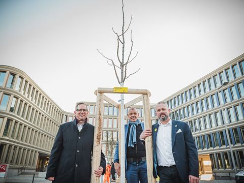 Bildvergrößerung: Bei der Baumpflanzung: v.l.n.r. Oliver Igel (Bezirksbürgermeister), Roland Sillmann (Geschäftsführer der WISTA Management GmbH) sowie David Weiblein (BTB-Geschäftsführer)