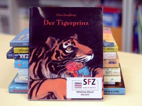 Buch Tigerprinz