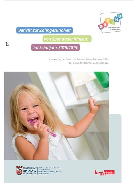 Bericht zur Zahngesundheit 2019