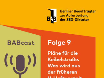 Cover BABcast-Folge 9