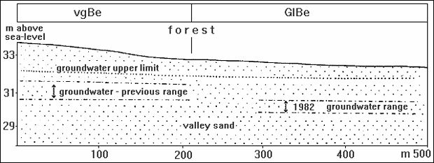 soil association of valley sand areas of medium and fine sand in the Spandau Forest